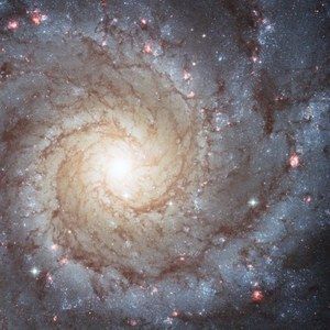 Meet your Posher, Nikole